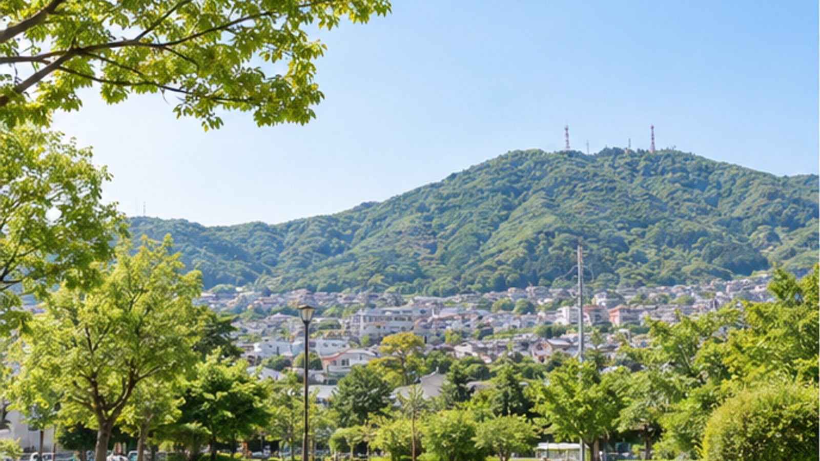 高安山を望む八尾市の公園と住宅地